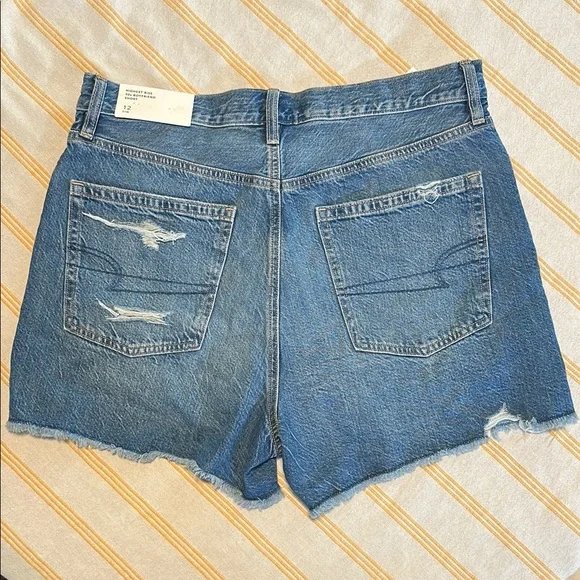 Highest Rise 90s boyfriend American Eagle Outfitters Blue Jean Shorts - Picture 2 of 6